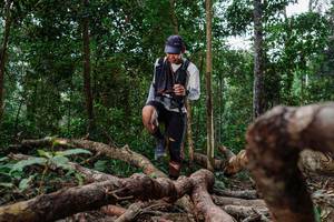 BIB: 
                            <button type="button" onclick="openModal(22412565)" class="btn btn-primary btn-sm float-right btn-popup" data-toggle="modal" data-target=".modal-high-quality">
                        <i class="fas fa-shopping-cart"></i> Add to Cart
                    </button>
                                            <button type="button" onclick="isThisMe(22412565, true)" class="btn btn-success btn-sm float-right btn-popup btn-isme hidden" data-toggle="tooltip" data-placement="bottom" title="นี่คือรูปของคุณใช่ไหม คลิกที่นี่เพื่อเอาเข้าอัลบั้ม">
                        <i class="fas fa-plus"></i> Add to album
                    </button>
                    <button type="button" onclick="isThisMe(22412565, false)" class="btn btn-warning btn-sm float-right btn-popup btn-isnotme hidden">
                        <i class="fas fa-ban"></i> Remove from album
                    </button>