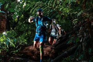 BIB: 169200
                            <button type="button" onclick="openModal(22360109)" class="btn btn-primary btn-sm float-right btn-popup" data-toggle="modal" data-target=".modal-high-quality">
                        <i class="fas fa-shopping-cart"></i> Add to Cart
                    </button>
                                            <button type="button" onclick="isThisMe(22360109, true)" class="btn btn-success btn-sm float-right btn-popup btn-isme hidden" data-toggle="tooltip" data-placement="bottom" title="นี่คือรูปของคุณใช่ไหม คลิกที่นี่เพื่อเอาเข้าอัลบั้ม">
                        <i class="fas fa-plus"></i> Add to album
                    </button>
                    <button type="button" onclick="isThisMe(22360109, false)" class="btn btn-warning btn-sm float-right btn-popup btn-isnotme hidden">
                        <i class="fas fa-ban"></i> Remove from album
                    </button>