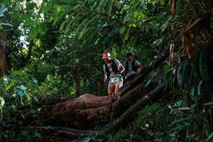 BIB: 
                            <button type="button" onclick="openModal(22380010)" class="btn btn-primary btn-sm float-right btn-popup" data-toggle="modal" data-target=".modal-high-quality">
                        <i class="fas fa-shopping-cart"></i> Add to Cart
                    </button>
                                            <button type="button" onclick="isThisMe(22380010, true)" class="btn btn-success btn-sm float-right btn-popup btn-isme hidden" data-toggle="tooltip" data-placement="bottom" title="นี่คือรูปของคุณใช่ไหม คลิกที่นี่เพื่อเอาเข้าอัลบั้ม">
                        <i class="fas fa-plus"></i> Add to album
                    </button>
                    <button type="button" onclick="isThisMe(22380010, false)" class="btn btn-warning btn-sm float-right btn-popup btn-isnotme hidden">
                        <i class="fas fa-ban"></i> Remove from album
                    </button>