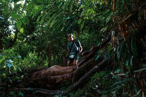 BIB: 
                            <button type="button" onclick="openModal(22381987)" class="btn btn-primary btn-sm float-right btn-popup" data-toggle="modal" data-target=".modal-high-quality">
                        <i class="fas fa-shopping-cart"></i> Add to Cart
                    </button>
                                            <button type="button" onclick="isThisMe(22381987, true)" class="btn btn-success btn-sm float-right btn-popup btn-isme hidden" data-toggle="tooltip" data-placement="bottom" title="นี่คือรูปของคุณใช่ไหม คลิกที่นี่เพื่อเอาเข้าอัลบั้ม">
                        <i class="fas fa-plus"></i> Add to album
                    </button>
                    <button type="button" onclick="isThisMe(22381987, false)" class="btn btn-warning btn-sm float-right btn-popup btn-isnotme hidden">
                        <i class="fas fa-ban"></i> Remove from album
                    </button>