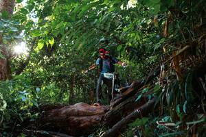 BIB: 9165
                            <button type="button" onclick="openModal(22374416)" class="btn btn-primary btn-sm float-right btn-popup" data-toggle="modal" data-target=".modal-high-quality">
                        <i class="fas fa-shopping-cart"></i> Add to Cart
                    </button>
                                            <button type="button" onclick="isThisMe(22374416, true)" class="btn btn-success btn-sm float-right btn-popup btn-isme hidden" data-toggle="tooltip" data-placement="bottom" title="นี่คือรูปของคุณใช่ไหม คลิกที่นี่เพื่อเอาเข้าอัลบั้ม">
                        <i class="fas fa-plus"></i> Add to album
                    </button>
                    <button type="button" onclick="isThisMe(22374416, false)" class="btn btn-warning btn-sm float-right btn-popup btn-isnotme hidden">
                        <i class="fas fa-ban"></i> Remove from album
                    </button>