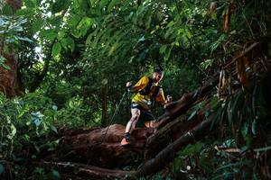 BIB: 
                            <button type="button" onclick="openModal(22357729)" class="btn btn-primary btn-sm float-right btn-popup" data-toggle="modal" data-target=".modal-high-quality">
                        <i class="fas fa-shopping-cart"></i> Add to Cart
                    </button>
                                            <button type="button" onclick="isThisMe(22357729, true)" class="btn btn-success btn-sm float-right btn-popup btn-isme hidden" data-toggle="tooltip" data-placement="bottom" title="นี่คือรูปของคุณใช่ไหม คลิกที่นี่เพื่อเอาเข้าอัลบั้ม">
                        <i class="fas fa-plus"></i> Add to album
                    </button>
                    <button type="button" onclick="isThisMe(22357729, false)" class="btn btn-warning btn-sm float-right btn-popup btn-isnotme hidden">
                        <i class="fas fa-ban"></i> Remove from album
                    </button>