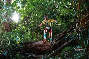 BIB: 270
                            <button type="button" onclick="openModal(22379372)" class="btn btn-primary btn-sm float-right btn-popup" data-toggle="modal" data-target=".modal-high-quality">
                        <i class="fas fa-shopping-cart"></i> Add to Cart
                    </button>
                                            <button type="button" onclick="isThisMe(22379372, true)" class="btn btn-success btn-sm float-right btn-popup btn-isme hidden" data-toggle="tooltip" data-placement="bottom" title="นี่คือรูปของคุณใช่ไหม คลิกที่นี่เพื่อเอาเข้าอัลบั้ม">
                        <i class="fas fa-plus"></i> Add to album
                    </button>
                    <button type="button" onclick="isThisMe(22379372, false)" class="btn btn-warning btn-sm float-right btn-popup btn-isnotme hidden">
                        <i class="fas fa-ban"></i> Remove from album
                    </button>