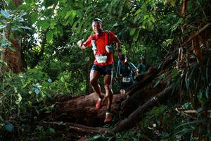 BIB: 9205
                            <button type="button" onclick="openModal(22357785)" class="btn btn-primary btn-sm float-right btn-popup" data-toggle="modal" data-target=".modal-high-quality">
                        <i class="fas fa-shopping-cart"></i> Add to Cart
                    </button>
                                            <button type="button" onclick="isThisMe(22357785, true)" class="btn btn-success btn-sm float-right btn-popup btn-isme hidden" data-toggle="tooltip" data-placement="bottom" title="นี่คือรูปของคุณใช่ไหม คลิกที่นี่เพื่อเอาเข้าอัลบั้ม">
                        <i class="fas fa-plus"></i> Add to album
                    </button>
                    <button type="button" onclick="isThisMe(22357785, false)" class="btn btn-warning btn-sm float-right btn-popup btn-isnotme hidden">
                        <i class="fas fa-ban"></i> Remove from album
                    </button>