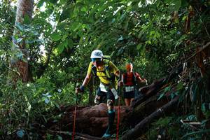 BIB: 919
                            <button type="button" onclick="openModal(22362076)" class="btn btn-primary btn-sm float-right btn-popup" data-toggle="modal" data-target=".modal-high-quality">
                        <i class="fas fa-shopping-cart"></i> Add to Cart
                    </button>
                                            <button type="button" onclick="isThisMe(22362076, true)" class="btn btn-success btn-sm float-right btn-popup btn-isme hidden" data-toggle="tooltip" data-placement="bottom" title="นี่คือรูปของคุณใช่ไหม คลิกที่นี่เพื่อเอาเข้าอัลบั้ม">
                        <i class="fas fa-plus"></i> Add to album
                    </button>
                    <button type="button" onclick="isThisMe(22362076, false)" class="btn btn-warning btn-sm float-right btn-popup btn-isnotme hidden">
                        <i class="fas fa-ban"></i> Remove from album
                    </button>