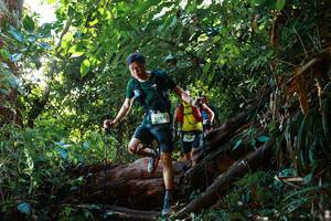 BIB: 9284
                            <button type="button" onclick="openModal(22496603)" class="btn btn-primary btn-sm float-right btn-popup" data-toggle="modal" data-target=".modal-high-quality">
                        <i class="fas fa-shopping-cart"></i> Add to Cart
                    </button>
                                            <button type="button" onclick="isThisMe(22496603, true)" class="btn btn-success btn-sm float-right btn-popup btn-isme hidden" data-toggle="tooltip" data-placement="bottom" title="นี่คือรูปของคุณใช่ไหม คลิกที่นี่เพื่อเอาเข้าอัลบั้ม">
                        <i class="fas fa-plus"></i> Add to album
                    </button>
                    <button type="button" onclick="isThisMe(22496603, false)" class="btn btn-warning btn-sm float-right btn-popup btn-isnotme hidden">
                        <i class="fas fa-ban"></i> Remove from album
                    </button>