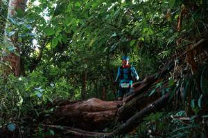 BIB: 
                            <button type="button" onclick="openModal(22362197)" class="btn btn-primary btn-sm float-right btn-popup" data-toggle="modal" data-target=".modal-high-quality">
                        <i class="fas fa-shopping-cart"></i> Add to Cart
                    </button>
                                            <button type="button" onclick="isThisMe(22362197, true)" class="btn btn-success btn-sm float-right btn-popup btn-isme hidden" data-toggle="tooltip" data-placement="bottom" title="นี่คือรูปของคุณใช่ไหม คลิกที่นี่เพื่อเอาเข้าอัลบั้ม">
                        <i class="fas fa-plus"></i> Add to album
                    </button>
                    <button type="button" onclick="isThisMe(22362197, false)" class="btn btn-warning btn-sm float-right btn-popup btn-isnotme hidden">
                        <i class="fas fa-ban"></i> Remove from album
                    </button>