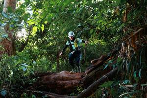 BIB: 
                            <button type="button" onclick="openModal(22369762)" class="btn btn-primary btn-sm float-right btn-popup" data-toggle="modal" data-target=".modal-high-quality">
                        <i class="fas fa-shopping-cart"></i> Add to Cart
                    </button>
                                            <button type="button" onclick="isThisMe(22369762, true)" class="btn btn-success btn-sm float-right btn-popup btn-isme hidden" data-toggle="tooltip" data-placement="bottom" title="นี่คือรูปของคุณใช่ไหม คลิกที่นี่เพื่อเอาเข้าอัลบั้ม">
                        <i class="fas fa-plus"></i> Add to album
                    </button>
                    <button type="button" onclick="isThisMe(22369762, false)" class="btn btn-warning btn-sm float-right btn-popup btn-isnotme hidden">
                        <i class="fas fa-ban"></i> Remove from album
                    </button>