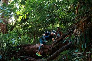 BIB: 
                            <button type="button" onclick="openModal(22369257)" class="btn btn-primary btn-sm float-right btn-popup" data-toggle="modal" data-target=".modal-high-quality">
                        <i class="fas fa-shopping-cart"></i> Add to Cart
                    </button>
                                            <button type="button" onclick="isThisMe(22369257, true)" class="btn btn-success btn-sm float-right btn-popup btn-isme hidden" data-toggle="tooltip" data-placement="bottom" title="นี่คือรูปของคุณใช่ไหม คลิกที่นี่เพื่อเอาเข้าอัลบั้ม">
                        <i class="fas fa-plus"></i> Add to album
                    </button>
                    <button type="button" onclick="isThisMe(22369257, false)" class="btn btn-warning btn-sm float-right btn-popup btn-isnotme hidden">
                        <i class="fas fa-ban"></i> Remove from album
                    </button>