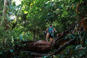 BIB: 
                            <button type="button" onclick="openModal(22390175)" class="btn btn-primary btn-sm float-right btn-popup" data-toggle="modal" data-target=".modal-high-quality">
                        <i class="fas fa-shopping-cart"></i> Add to Cart
                    </button>
                                            <button type="button" onclick="isThisMe(22390175, true)" class="btn btn-success btn-sm float-right btn-popup btn-isme hidden" data-toggle="tooltip" data-placement="bottom" title="นี่คือรูปของคุณใช่ไหม คลิกที่นี่เพื่อเอาเข้าอัลบั้ม">
                        <i class="fas fa-plus"></i> Add to album
                    </button>
                    <button type="button" onclick="isThisMe(22390175, false)" class="btn btn-warning btn-sm float-right btn-popup btn-isnotme hidden">
                        <i class="fas fa-ban"></i> Remove from album
                    </button>