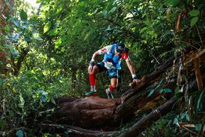 BIB: 930
                            <button type="button" onclick="openModal(22390868)" class="btn btn-primary btn-sm float-right btn-popup" data-toggle="modal" data-target=".modal-high-quality">
                        <i class="fas fa-shopping-cart"></i> Add to Cart
                    </button>
                                            <button type="button" onclick="isThisMe(22390868, true)" class="btn btn-success btn-sm float-right btn-popup btn-isme hidden" data-toggle="tooltip" data-placement="bottom" title="นี่คือรูปของคุณใช่ไหม คลิกที่นี่เพื่อเอาเข้าอัลบั้ม">
                        <i class="fas fa-plus"></i> Add to album
                    </button>
                    <button type="button" onclick="isThisMe(22390868, false)" class="btn btn-warning btn-sm float-right btn-popup btn-isnotme hidden">
                        <i class="fas fa-ban"></i> Remove from album
                    </button>