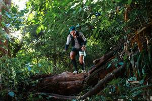 BIB: 
                            <button type="button" onclick="openModal(22390524)" class="btn btn-primary btn-sm float-right btn-popup" data-toggle="modal" data-target=".modal-high-quality">
                        <i class="fas fa-shopping-cart"></i> Add to Cart
                    </button>
                                            <button type="button" onclick="isThisMe(22390524, true)" class="btn btn-success btn-sm float-right btn-popup btn-isme hidden" data-toggle="tooltip" data-placement="bottom" title="นี่คือรูปของคุณใช่ไหม คลิกที่นี่เพื่อเอาเข้าอัลบั้ม">
                        <i class="fas fa-plus"></i> Add to album
                    </button>
                    <button type="button" onclick="isThisMe(22390524, false)" class="btn btn-warning btn-sm float-right btn-popup btn-isnotme hidden">
                        <i class="fas fa-ban"></i> Remove from album
                    </button>