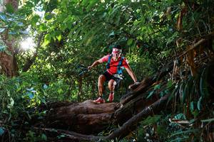 BIB: 
                            <button type="button" onclick="openModal(22377686)" class="btn btn-primary btn-sm float-right btn-popup" data-toggle="modal" data-target=".modal-high-quality">
                        <i class="fas fa-shopping-cart"></i> Add to Cart
                    </button>
                                            <button type="button" onclick="isThisMe(22377686, true)" class="btn btn-success btn-sm float-right btn-popup btn-isme hidden" data-toggle="tooltip" data-placement="bottom" title="นี่คือรูปของคุณใช่ไหม คลิกที่นี่เพื่อเอาเข้าอัลบั้ม">
                        <i class="fas fa-plus"></i> Add to album
                    </button>
                    <button type="button" onclick="isThisMe(22377686, false)" class="btn btn-warning btn-sm float-right btn-popup btn-isnotme hidden">
                        <i class="fas fa-ban"></i> Remove from album
                    </button>