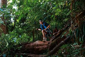 BIB: 
                            <button type="button" onclick="openModal(22360181)" class="btn btn-primary btn-sm float-right btn-popup" data-toggle="modal" data-target=".modal-high-quality">
                        <i class="fas fa-shopping-cart"></i> Add to Cart
                    </button>
                                            <button type="button" onclick="isThisMe(22360181, true)" class="btn btn-success btn-sm float-right btn-popup btn-isme hidden" data-toggle="tooltip" data-placement="bottom" title="นี่คือรูปของคุณใช่ไหม คลิกที่นี่เพื่อเอาเข้าอัลบั้ม">
                        <i class="fas fa-plus"></i> Add to album
                    </button>
                    <button type="button" onclick="isThisMe(22360181, false)" class="btn btn-warning btn-sm float-right btn-popup btn-isnotme hidden">
                        <i class="fas fa-ban"></i> Remove from album
                    </button>