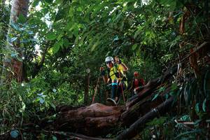 BIB: 
                            <button type="button" onclick="openModal(22362023)" class="btn btn-primary btn-sm float-right btn-popup" data-toggle="modal" data-target=".modal-high-quality">
                        <i class="fas fa-shopping-cart"></i> Add to Cart
                    </button>
                                            <button type="button" onclick="isThisMe(22362023, true)" class="btn btn-success btn-sm float-right btn-popup btn-isme hidden" data-toggle="tooltip" data-placement="bottom" title="นี่คือรูปของคุณใช่ไหม คลิกที่นี่เพื่อเอาเข้าอัลบั้ม">
                        <i class="fas fa-plus"></i> Add to album
                    </button>
                    <button type="button" onclick="isThisMe(22362023, false)" class="btn btn-warning btn-sm float-right btn-popup btn-isnotme hidden">
                        <i class="fas fa-ban"></i> Remove from album
                    </button>