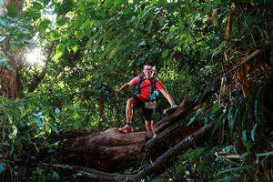 BIB: 
                            <button type="button" onclick="openModal(22377482)" class="btn btn-primary btn-sm float-right btn-popup" data-toggle="modal" data-target=".modal-high-quality">
                        <i class="fas fa-shopping-cart"></i> Add to Cart
                    </button>
                                            <button type="button" onclick="isThisMe(22377482, true)" class="btn btn-success btn-sm float-right btn-popup btn-isme hidden" data-toggle="tooltip" data-placement="bottom" title="นี่คือรูปของคุณใช่ไหม คลิกที่นี่เพื่อเอาเข้าอัลบั้ม">
                        <i class="fas fa-plus"></i> Add to album
                    </button>
                    <button type="button" onclick="isThisMe(22377482, false)" class="btn btn-warning btn-sm float-right btn-popup btn-isnotme hidden">
                        <i class="fas fa-ban"></i> Remove from album
                    </button>