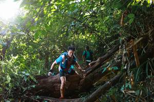 BIB: 
                            <button type="button" onclick="openModal(22360539)" class="btn btn-primary btn-sm float-right btn-popup" data-toggle="modal" data-target=".modal-high-quality">
                        <i class="fas fa-shopping-cart"></i> Add to Cart
                    </button>
                                            <button type="button" onclick="isThisMe(22360539, true)" class="btn btn-success btn-sm float-right btn-popup btn-isme hidden" data-toggle="tooltip" data-placement="bottom" title="นี่คือรูปของคุณใช่ไหม คลิกที่นี่เพื่อเอาเข้าอัลบั้ม">
                        <i class="fas fa-plus"></i> Add to album
                    </button>
                    <button type="button" onclick="isThisMe(22360539, false)" class="btn btn-warning btn-sm float-right btn-popup btn-isnotme hidden">
                        <i class="fas fa-ban"></i> Remove from album
                    </button>