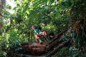 BIB: 
                            <button type="button" onclick="openModal(22361943)" class="btn btn-primary btn-sm float-right btn-popup" data-toggle="modal" data-target=".modal-high-quality">
                        <i class="fas fa-shopping-cart"></i> Add to Cart
                    </button>
                                            <button type="button" onclick="isThisMe(22361943, true)" class="btn btn-success btn-sm float-right btn-popup btn-isme hidden" data-toggle="tooltip" data-placement="bottom" title="นี่คือรูปของคุณใช่ไหม คลิกที่นี่เพื่อเอาเข้าอัลบั้ม">
                        <i class="fas fa-plus"></i> Add to album
                    </button>
                    <button type="button" onclick="isThisMe(22361943, false)" class="btn btn-warning btn-sm float-right btn-popup btn-isnotme hidden">
                        <i class="fas fa-ban"></i> Remove from album
                    </button>