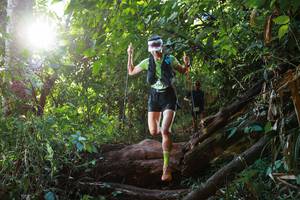 BIB: 
                            <button type="button" onclick="openModal(22357191)" class="btn btn-primary btn-sm float-right btn-popup" data-toggle="modal" data-target=".modal-high-quality">
                        <i class="fas fa-shopping-cart"></i> Add to Cart
                    </button>
                                            <button type="button" onclick="isThisMe(22357191, true)" class="btn btn-success btn-sm float-right btn-popup btn-isme hidden" data-toggle="tooltip" data-placement="bottom" title="นี่คือรูปของคุณใช่ไหม คลิกที่นี่เพื่อเอาเข้าอัลบั้ม">
                        <i class="fas fa-plus"></i> Add to album
                    </button>
                    <button type="button" onclick="isThisMe(22357191, false)" class="btn btn-warning btn-sm float-right btn-popup btn-isnotme hidden">
                        <i class="fas fa-ban"></i> Remove from album
                    </button>