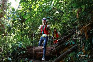 BIB: 968
                            <button type="button" onclick="openModal(22360686)" class="btn btn-primary btn-sm float-right btn-popup" data-toggle="modal" data-target=".modal-high-quality">
                        <i class="fas fa-shopping-cart"></i> Add to Cart
                    </button>
                                            <button type="button" onclick="isThisMe(22360686, true)" class="btn btn-success btn-sm float-right btn-popup btn-isme hidden" data-toggle="tooltip" data-placement="bottom" title="นี่คือรูปของคุณใช่ไหม คลิกที่นี่เพื่อเอาเข้าอัลบั้ม">
                        <i class="fas fa-plus"></i> Add to album
                    </button>
                    <button type="button" onclick="isThisMe(22360686, false)" class="btn btn-warning btn-sm float-right btn-popup btn-isnotme hidden">
                        <i class="fas fa-ban"></i> Remove from album
                    </button>