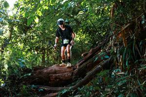 BIB: 1856
                            <button type="button" onclick="openModal(22361801)" class="btn btn-primary btn-sm float-right btn-popup" data-toggle="modal" data-target=".modal-high-quality">
                        <i class="fas fa-shopping-cart"></i> Add to Cart
                    </button>
                                            <button type="button" onclick="isThisMe(22361801, true)" class="btn btn-success btn-sm float-right btn-popup btn-isme hidden" data-toggle="tooltip" data-placement="bottom" title="นี่คือรูปของคุณใช่ไหม คลิกที่นี่เพื่อเอาเข้าอัลบั้ม">
                        <i class="fas fa-plus"></i> Add to album
                    </button>
                    <button type="button" onclick="isThisMe(22361801, false)" class="btn btn-warning btn-sm float-right btn-popup btn-isnotme hidden">
                        <i class="fas fa-ban"></i> Remove from album
                    </button>