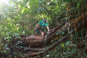 BIB: 
                            <button type="button" onclick="openModal(22366471)" class="btn btn-primary btn-sm float-right btn-popup" data-toggle="modal" data-target=".modal-high-quality">
                        <i class="fas fa-shopping-cart"></i> Add to Cart
                    </button>
                                            <button type="button" onclick="isThisMe(22366471, true)" class="btn btn-success btn-sm float-right btn-popup btn-isme hidden" data-toggle="tooltip" data-placement="bottom" title="นี่คือรูปของคุณใช่ไหม คลิกที่นี่เพื่อเอาเข้าอัลบั้ม">
                        <i class="fas fa-plus"></i> Add to album
                    </button>
                    <button type="button" onclick="isThisMe(22366471, false)" class="btn btn-warning btn-sm float-right btn-popup btn-isnotme hidden">
                        <i class="fas fa-ban"></i> Remove from album
                    </button>