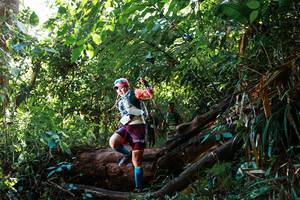 BIB: 
                            <button type="button" onclick="openModal(22361940)" class="btn btn-primary btn-sm float-right btn-popup" data-toggle="modal" data-target=".modal-high-quality">
                        <i class="fas fa-shopping-cart"></i> Add to Cart
                    </button>
                                            <button type="button" onclick="isThisMe(22361940, true)" class="btn btn-success btn-sm float-right btn-popup btn-isme hidden" data-toggle="tooltip" data-placement="bottom" title="นี่คือรูปของคุณใช่ไหม คลิกที่นี่เพื่อเอาเข้าอัลบั้ม">
                        <i class="fas fa-plus"></i> Add to album
                    </button>
                    <button type="button" onclick="isThisMe(22361940, false)" class="btn btn-warning btn-sm float-right btn-popup btn-isnotme hidden">
                        <i class="fas fa-ban"></i> Remove from album
                    </button>