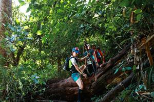 BIB: 
                            <button type="button" onclick="openModal(22357031)" class="btn btn-primary btn-sm float-right btn-popup" data-toggle="modal" data-target=".modal-high-quality">
                        <i class="fas fa-shopping-cart"></i> Add to Cart
                    </button>
                                            <button type="button" onclick="isThisMe(22357031, true)" class="btn btn-success btn-sm float-right btn-popup btn-isme hidden" data-toggle="tooltip" data-placement="bottom" title="นี่คือรูปของคุณใช่ไหม คลิกที่นี่เพื่อเอาเข้าอัลบั้ม">
                        <i class="fas fa-plus"></i> Add to album
                    </button>
                    <button type="button" onclick="isThisMe(22357031, false)" class="btn btn-warning btn-sm float-right btn-popup btn-isnotme hidden">
                        <i class="fas fa-ban"></i> Remove from album
                    </button>