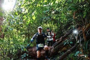 BIB: 9604
                            <button type="button" onclick="openModal(22364576)" class="btn btn-primary btn-sm float-right btn-popup" data-toggle="modal" data-target=".modal-high-quality">
                        <i class="fas fa-shopping-cart"></i> Add to Cart
                    </button>
                                            <button type="button" onclick="isThisMe(22364576, true)" class="btn btn-success btn-sm float-right btn-popup btn-isme hidden" data-toggle="tooltip" data-placement="bottom" title="นี่คือรูปของคุณใช่ไหม คลิกที่นี่เพื่อเอาเข้าอัลบั้ม">
                        <i class="fas fa-plus"></i> Add to album
                    </button>
                    <button type="button" onclick="isThisMe(22364576, false)" class="btn btn-warning btn-sm float-right btn-popup btn-isnotme hidden">
                        <i class="fas fa-ban"></i> Remove from album
                    </button>