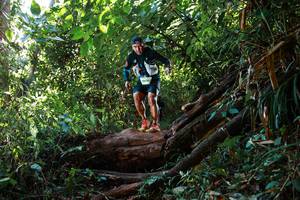 BIB: 9090
                            <button type="button" onclick="openModal(22360849)" class="btn btn-primary btn-sm float-right btn-popup" data-toggle="modal" data-target=".modal-high-quality">
                        <i class="fas fa-shopping-cart"></i> Add to Cart
                    </button>
                                            <button type="button" onclick="isThisMe(22360849, true)" class="btn btn-success btn-sm float-right btn-popup btn-isme hidden" data-toggle="tooltip" data-placement="bottom" title="นี่คือรูปของคุณใช่ไหม คลิกที่นี่เพื่อเอาเข้าอัลบั้ม">
                        <i class="fas fa-plus"></i> Add to album
                    </button>
                    <button type="button" onclick="isThisMe(22360849, false)" class="btn btn-warning btn-sm float-right btn-popup btn-isnotme hidden">
                        <i class="fas fa-ban"></i> Remove from album
                    </button>