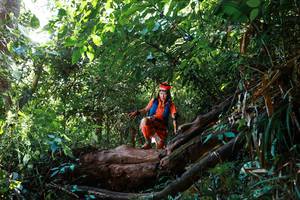 BIB: 
                            <button type="button" onclick="openModal(22362002)" class="btn btn-primary btn-sm float-right btn-popup" data-toggle="modal" data-target=".modal-high-quality">
                        <i class="fas fa-shopping-cart"></i> Add to Cart
                    </button>
                                            <button type="button" onclick="isThisMe(22362002, true)" class="btn btn-success btn-sm float-right btn-popup btn-isme hidden" data-toggle="tooltip" data-placement="bottom" title="นี่คือรูปของคุณใช่ไหม คลิกที่นี่เพื่อเอาเข้าอัลบั้ม">
                        <i class="fas fa-plus"></i> Add to album
                    </button>
                    <button type="button" onclick="isThisMe(22362002, false)" class="btn btn-warning btn-sm float-right btn-popup btn-isnotme hidden">
                        <i class="fas fa-ban"></i> Remove from album
                    </button>