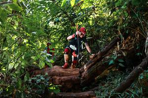 BIB: 9571
                            <button type="button" onclick="openModal(22370145)" class="btn btn-primary btn-sm float-right btn-popup" data-toggle="modal" data-target=".modal-high-quality">
                        <i class="fas fa-shopping-cart"></i> Add to Cart
                    </button>
                                            <button type="button" onclick="isThisMe(22370145, true)" class="btn btn-success btn-sm float-right btn-popup btn-isme hidden" data-toggle="tooltip" data-placement="bottom" title="นี่คือรูปของคุณใช่ไหม คลิกที่นี่เพื่อเอาเข้าอัลบั้ม">
                        <i class="fas fa-plus"></i> Add to album
                    </button>
                    <button type="button" onclick="isThisMe(22370145, false)" class="btn btn-warning btn-sm float-right btn-popup btn-isnotme hidden">
                        <i class="fas fa-ban"></i> Remove from album
                    </button>