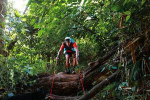 BIB: 
                            <button type="button" onclick="openModal(22357234)" class="btn btn-primary btn-sm float-right btn-popup" data-toggle="modal" data-target=".modal-high-quality">
                        <i class="fas fa-shopping-cart"></i> Add to Cart
                    </button>
                                            <button type="button" onclick="isThisMe(22357234, true)" class="btn btn-success btn-sm float-right btn-popup btn-isme hidden" data-toggle="tooltip" data-placement="bottom" title="นี่คือรูปของคุณใช่ไหม คลิกที่นี่เพื่อเอาเข้าอัลบั้ม">
                        <i class="fas fa-plus"></i> Add to album
                    </button>
                    <button type="button" onclick="isThisMe(22357234, false)" class="btn btn-warning btn-sm float-right btn-popup btn-isnotme hidden">
                        <i class="fas fa-ban"></i> Remove from album
                    </button>