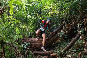 BIB: 
                            <button type="button" onclick="openModal(22375038)" class="btn btn-primary btn-sm float-right btn-popup" data-toggle="modal" data-target=".modal-high-quality">
                        <i class="fas fa-shopping-cart"></i> Add to Cart
                    </button>
                                            <button type="button" onclick="isThisMe(22375038, true)" class="btn btn-success btn-sm float-right btn-popup btn-isme hidden" data-toggle="tooltip" data-placement="bottom" title="นี่คือรูปของคุณใช่ไหม คลิกที่นี่เพื่อเอาเข้าอัลบั้ม">
                        <i class="fas fa-plus"></i> Add to album
                    </button>
                    <button type="button" onclick="isThisMe(22375038, false)" class="btn btn-warning btn-sm float-right btn-popup btn-isnotme hidden">
                        <i class="fas fa-ban"></i> Remove from album
                    </button>