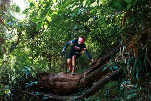 BIB: 
                            <button type="button" onclick="openModal(22361977)" class="btn btn-primary btn-sm float-right btn-popup" data-toggle="modal" data-target=".modal-high-quality">
                        <i class="fas fa-shopping-cart"></i> Add to Cart
                    </button>
                                            <button type="button" onclick="isThisMe(22361977, true)" class="btn btn-success btn-sm float-right btn-popup btn-isme hidden" data-toggle="tooltip" data-placement="bottom" title="นี่คือรูปของคุณใช่ไหม คลิกที่นี่เพื่อเอาเข้าอัลบั้ม">
                        <i class="fas fa-plus"></i> Add to album
                    </button>
                    <button type="button" onclick="isThisMe(22361977, false)" class="btn btn-warning btn-sm float-right btn-popup btn-isnotme hidden">
                        <i class="fas fa-ban"></i> Remove from album
                    </button>