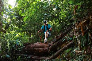 BIB: 
                            <button type="button" onclick="openModal(22357968)" class="btn btn-primary btn-sm float-right btn-popup" data-toggle="modal" data-target=".modal-high-quality">
                        <i class="fas fa-shopping-cart"></i> Add to Cart
                    </button>
                                            <button type="button" onclick="isThisMe(22357968, true)" class="btn btn-success btn-sm float-right btn-popup btn-isme hidden" data-toggle="tooltip" data-placement="bottom" title="นี่คือรูปของคุณใช่ไหม คลิกที่นี่เพื่อเอาเข้าอัลบั้ม">
                        <i class="fas fa-plus"></i> Add to album
                    </button>
                    <button type="button" onclick="isThisMe(22357968, false)" class="btn btn-warning btn-sm float-right btn-popup btn-isnotme hidden">
                        <i class="fas fa-ban"></i> Remove from album
                    </button>