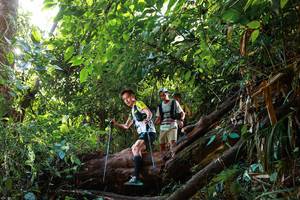 BIB: 
                            <button type="button" onclick="openModal(22357277)" class="btn btn-primary btn-sm float-right btn-popup" data-toggle="modal" data-target=".modal-high-quality">
                        <i class="fas fa-shopping-cart"></i> Add to Cart
                    </button>
                                            <button type="button" onclick="isThisMe(22357277, true)" class="btn btn-success btn-sm float-right btn-popup btn-isme hidden" data-toggle="tooltip" data-placement="bottom" title="นี่คือรูปของคุณใช่ไหม คลิกที่นี่เพื่อเอาเข้าอัลบั้ม">
                        <i class="fas fa-plus"></i> Add to album
                    </button>
                    <button type="button" onclick="isThisMe(22357277, false)" class="btn btn-warning btn-sm float-right btn-popup btn-isnotme hidden">
                        <i class="fas fa-ban"></i> Remove from album
                    </button>