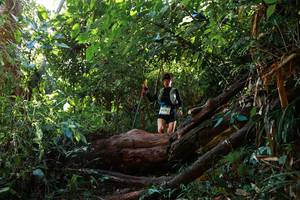 BIB: 
                            <button type="button" onclick="openModal(22358266)" class="btn btn-primary btn-sm float-right btn-popup" data-toggle="modal" data-target=".modal-high-quality">
                        <i class="fas fa-shopping-cart"></i> Add to Cart
                    </button>
                                            <button type="button" onclick="isThisMe(22358266, true)" class="btn btn-success btn-sm float-right btn-popup btn-isme hidden" data-toggle="tooltip" data-placement="bottom" title="นี่คือรูปของคุณใช่ไหม คลิกที่นี่เพื่อเอาเข้าอัลบั้ม">
                        <i class="fas fa-plus"></i> Add to album
                    </button>
                    <button type="button" onclick="isThisMe(22358266, false)" class="btn btn-warning btn-sm float-right btn-popup btn-isnotme hidden">
                        <i class="fas fa-ban"></i> Remove from album
                    </button>