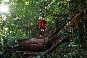 BIB: 
                            <button type="button" onclick="openModal(22359547)" class="btn btn-primary btn-sm float-right btn-popup" data-toggle="modal" data-target=".modal-high-quality">
                        <i class="fas fa-shopping-cart"></i> Add to Cart
                    </button>
                                            <button type="button" onclick="isThisMe(22359547, true)" class="btn btn-success btn-sm float-right btn-popup btn-isme hidden" data-toggle="tooltip" data-placement="bottom" title="นี่คือรูปของคุณใช่ไหม คลิกที่นี่เพื่อเอาเข้าอัลบั้ม">
                        <i class="fas fa-plus"></i> Add to album
                    </button>
                    <button type="button" onclick="isThisMe(22359547, false)" class="btn btn-warning btn-sm float-right btn-popup btn-isnotme hidden">
                        <i class="fas fa-ban"></i> Remove from album
                    </button>