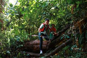 BIB: 
                            <button type="button" onclick="openModal(22360827)" class="btn btn-primary btn-sm float-right btn-popup" data-toggle="modal" data-target=".modal-high-quality">
                        <i class="fas fa-shopping-cart"></i> Add to Cart
                    </button>
                                            <button type="button" onclick="isThisMe(22360827, true)" class="btn btn-success btn-sm float-right btn-popup btn-isme hidden" data-toggle="tooltip" data-placement="bottom" title="นี่คือรูปของคุณใช่ไหม คลิกที่นี่เพื่อเอาเข้าอัลบั้ม">
                        <i class="fas fa-plus"></i> Add to album
                    </button>
                    <button type="button" onclick="isThisMe(22360827, false)" class="btn btn-warning btn-sm float-right btn-popup btn-isnotme hidden">
                        <i class="fas fa-ban"></i> Remove from album
                    </button>