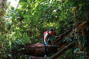 BIB: 
                            <button type="button" onclick="openModal(22360790)" class="btn btn-primary btn-sm float-right btn-popup" data-toggle="modal" data-target=".modal-high-quality">
                        <i class="fas fa-shopping-cart"></i> Add to Cart
                    </button>
                                            <button type="button" onclick="isThisMe(22360790, true)" class="btn btn-success btn-sm float-right btn-popup btn-isme hidden" data-toggle="tooltip" data-placement="bottom" title="นี่คือรูปของคุณใช่ไหม คลิกที่นี่เพื่อเอาเข้าอัลบั้ม">
                        <i class="fas fa-plus"></i> Add to album
                    </button>
                    <button type="button" onclick="isThisMe(22360790, false)" class="btn btn-warning btn-sm float-right btn-popup btn-isnotme hidden">
                        <i class="fas fa-ban"></i> Remove from album
                    </button>