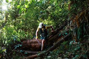 BIB: 
                            <button type="button" onclick="openModal(22362049)" class="btn btn-primary btn-sm float-right btn-popup" data-toggle="modal" data-target=".modal-high-quality">
                        <i class="fas fa-shopping-cart"></i> Add to Cart
                    </button>
                                            <button type="button" onclick="isThisMe(22362049, true)" class="btn btn-success btn-sm float-right btn-popup btn-isme hidden" data-toggle="tooltip" data-placement="bottom" title="นี่คือรูปของคุณใช่ไหม คลิกที่นี่เพื่อเอาเข้าอัลบั้ม">
                        <i class="fas fa-plus"></i> Add to album
                    </button>
                    <button type="button" onclick="isThisMe(22362049, false)" class="btn btn-warning btn-sm float-right btn-popup btn-isnotme hidden">
                        <i class="fas fa-ban"></i> Remove from album
                    </button>