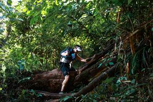 BIB: 
                            <button type="button" onclick="openModal(22361170)" class="btn btn-primary btn-sm float-right btn-popup" data-toggle="modal" data-target=".modal-high-quality">
                        <i class="fas fa-shopping-cart"></i> Add to Cart
                    </button>
                                            <button type="button" onclick="isThisMe(22361170, true)" class="btn btn-success btn-sm float-right btn-popup btn-isme hidden" data-toggle="tooltip" data-placement="bottom" title="นี่คือรูปของคุณใช่ไหม คลิกที่นี่เพื่อเอาเข้าอัลบั้ม">
                        <i class="fas fa-plus"></i> Add to album
                    </button>
                    <button type="button" onclick="isThisMe(22361170, false)" class="btn btn-warning btn-sm float-right btn-popup btn-isnotme hidden">
                        <i class="fas fa-ban"></i> Remove from album
                    </button>