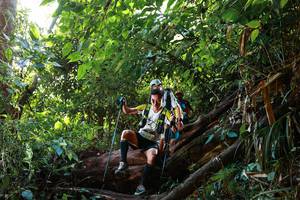 BIB: 
                            <button type="button" onclick="openModal(22357303)" class="btn btn-primary btn-sm float-right btn-popup" data-toggle="modal" data-target=".modal-high-quality">
                        <i class="fas fa-shopping-cart"></i> Add to Cart
                    </button>
                                            <button type="button" onclick="isThisMe(22357303, true)" class="btn btn-success btn-sm float-right btn-popup btn-isme hidden" data-toggle="tooltip" data-placement="bottom" title="นี่คือรูปของคุณใช่ไหม คลิกที่นี่เพื่อเอาเข้าอัลบั้ม">
                        <i class="fas fa-plus"></i> Add to album
                    </button>
                    <button type="button" onclick="isThisMe(22357303, false)" class="btn btn-warning btn-sm float-right btn-popup btn-isnotme hidden">
                        <i class="fas fa-ban"></i> Remove from album
                    </button>