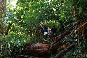 BIB: 
                            <button type="button" onclick="openModal(22356967)" class="btn btn-primary btn-sm float-right btn-popup" data-toggle="modal" data-target=".modal-high-quality">
                        <i class="fas fa-shopping-cart"></i> Add to Cart
                    </button>
                                            <button type="button" onclick="isThisMe(22356967, true)" class="btn btn-success btn-sm float-right btn-popup btn-isme hidden" data-toggle="tooltip" data-placement="bottom" title="นี่คือรูปของคุณใช่ไหม คลิกที่นี่เพื่อเอาเข้าอัลบั้ม">
                        <i class="fas fa-plus"></i> Add to album
                    </button>
                    <button type="button" onclick="isThisMe(22356967, false)" class="btn btn-warning btn-sm float-right btn-popup btn-isnotme hidden">
                        <i class="fas fa-ban"></i> Remove from album
                    </button>