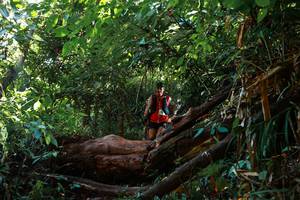 BIB: 
                            <button type="button" onclick="openModal(22359035)" class="btn btn-primary btn-sm float-right btn-popup" data-toggle="modal" data-target=".modal-high-quality">
                        <i class="fas fa-shopping-cart"></i> Add to Cart
                    </button>
                                            <button type="button" onclick="isThisMe(22359035, true)" class="btn btn-success btn-sm float-right btn-popup btn-isme hidden" data-toggle="tooltip" data-placement="bottom" title="นี่คือรูปของคุณใช่ไหม คลิกที่นี่เพื่อเอาเข้าอัลบั้ม">
                        <i class="fas fa-plus"></i> Add to album
                    </button>
                    <button type="button" onclick="isThisMe(22359035, false)" class="btn btn-warning btn-sm float-right btn-popup btn-isnotme hidden">
                        <i class="fas fa-ban"></i> Remove from album
                    </button>