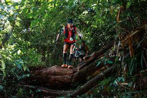 BIB: 
                            <button type="button" onclick="openModal(22359153)" class="btn btn-primary btn-sm float-right btn-popup" data-toggle="modal" data-target=".modal-high-quality">
                        <i class="fas fa-shopping-cart"></i> Add to Cart
                    </button>
                                            <button type="button" onclick="isThisMe(22359153, true)" class="btn btn-success btn-sm float-right btn-popup btn-isme hidden" data-toggle="tooltip" data-placement="bottom" title="นี่คือรูปของคุณใช่ไหม คลิกที่นี่เพื่อเอาเข้าอัลบั้ม">
                        <i class="fas fa-plus"></i> Add to album
                    </button>
                    <button type="button" onclick="isThisMe(22359153, false)" class="btn btn-warning btn-sm float-right btn-popup btn-isnotme hidden">
                        <i class="fas fa-ban"></i> Remove from album
                    </button>