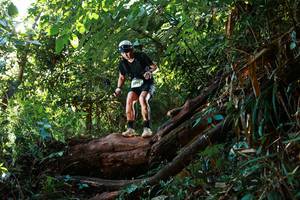 BIB: 
                            <button type="button" onclick="openModal(22361787)" class="btn btn-primary btn-sm float-right btn-popup" data-toggle="modal" data-target=".modal-high-quality">
                        <i class="fas fa-shopping-cart"></i> Add to Cart
                    </button>
                                            <button type="button" onclick="isThisMe(22361787, true)" class="btn btn-success btn-sm float-right btn-popup btn-isme hidden" data-toggle="tooltip" data-placement="bottom" title="นี่คือรูปของคุณใช่ไหม คลิกที่นี่เพื่อเอาเข้าอัลบั้ม">
                        <i class="fas fa-plus"></i> Add to album
                    </button>
                    <button type="button" onclick="isThisMe(22361787, false)" class="btn btn-warning btn-sm float-right btn-popup btn-isnotme hidden">
                        <i class="fas fa-ban"></i> Remove from album
                    </button>