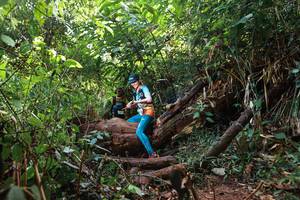 BIB: 
                            <button type="button" onclick="openModal(22378831)" class="btn btn-primary btn-sm float-right btn-popup" data-toggle="modal" data-target=".modal-high-quality">
                        <i class="fas fa-shopping-cart"></i> Add to Cart
                    </button>
                                            <button type="button" onclick="isThisMe(22378831, true)" class="btn btn-success btn-sm float-right btn-popup btn-isme hidden" data-toggle="tooltip" data-placement="bottom" title="นี่คือรูปของคุณใช่ไหม คลิกที่นี่เพื่อเอาเข้าอัลบั้ม">
                        <i class="fas fa-plus"></i> Add to album
                    </button>
                    <button type="button" onclick="isThisMe(22378831, false)" class="btn btn-warning btn-sm float-right btn-popup btn-isnotme hidden">
                        <i class="fas fa-ban"></i> Remove from album
                    </button>