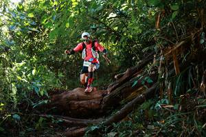 BIB: 
                            <button type="button" onclick="openModal(22359694)" class="btn btn-primary btn-sm float-right btn-popup" data-toggle="modal" data-target=".modal-high-quality">
                        <i class="fas fa-shopping-cart"></i> Add to Cart
                    </button>
                                            <button type="button" onclick="isThisMe(22359694, true)" class="btn btn-success btn-sm float-right btn-popup btn-isme hidden" data-toggle="tooltip" data-placement="bottom" title="นี่คือรูปของคุณใช่ไหม คลิกที่นี่เพื่อเอาเข้าอัลบั้ม">
                        <i class="fas fa-plus"></i> Add to album
                    </button>
                    <button type="button" onclick="isThisMe(22359694, false)" class="btn btn-warning btn-sm float-right btn-popup btn-isnotme hidden">
                        <i class="fas fa-ban"></i> Remove from album
                    </button>